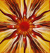 MyAstrology.net: Free astrology, free daily horoscopes, free astrology ebooks, astrology blogs, astrology blog central, astrology books, and more.